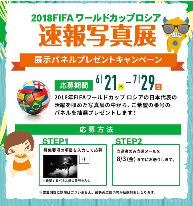 【希少品】メッシ パネル