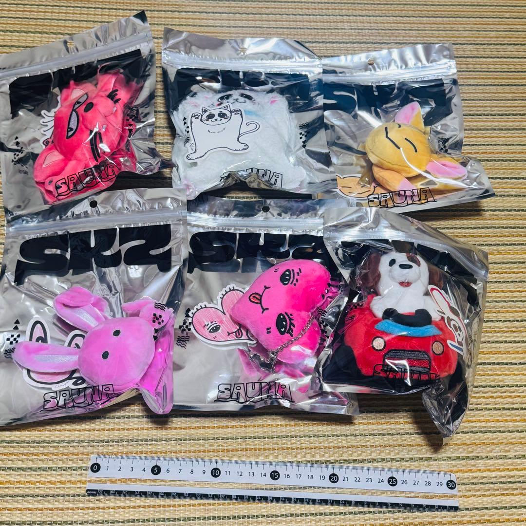 stray kids スキズ メンプロ バッグチャーム セット c