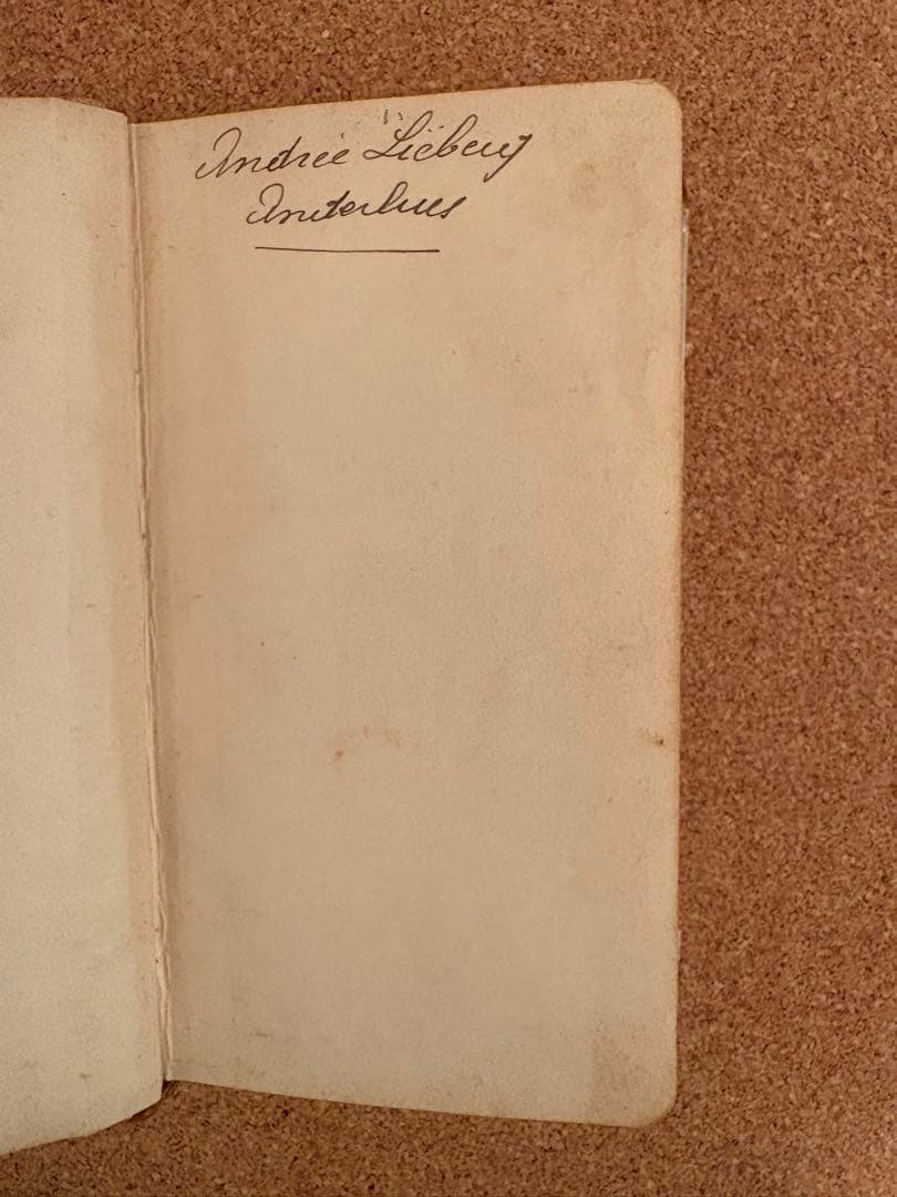 【希少】アンティーク聖書と聖母マリア レースのホーリーカードのセット