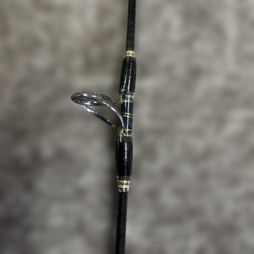 ロッド Daiwa SALTIGA SG DOGFIGHT 76