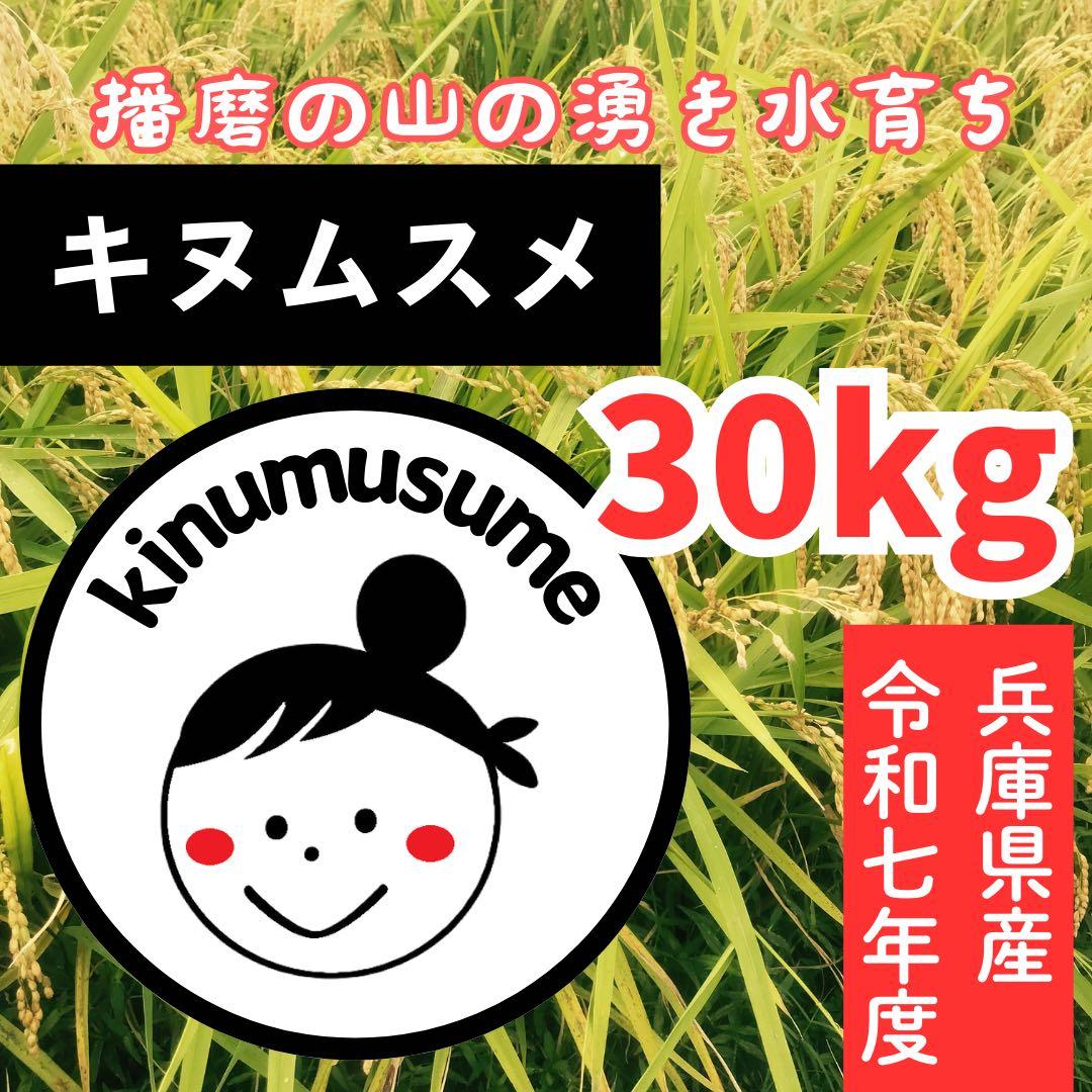 美味★新米 兵庫県産キヌムスメ 10kg 山の湧き水で育てたお米