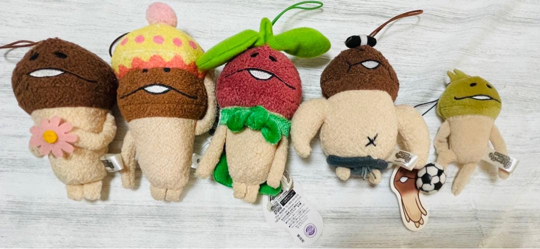 なめこ　おさわり探偵　なめこ栽培キット　74点セット　まとめ売り