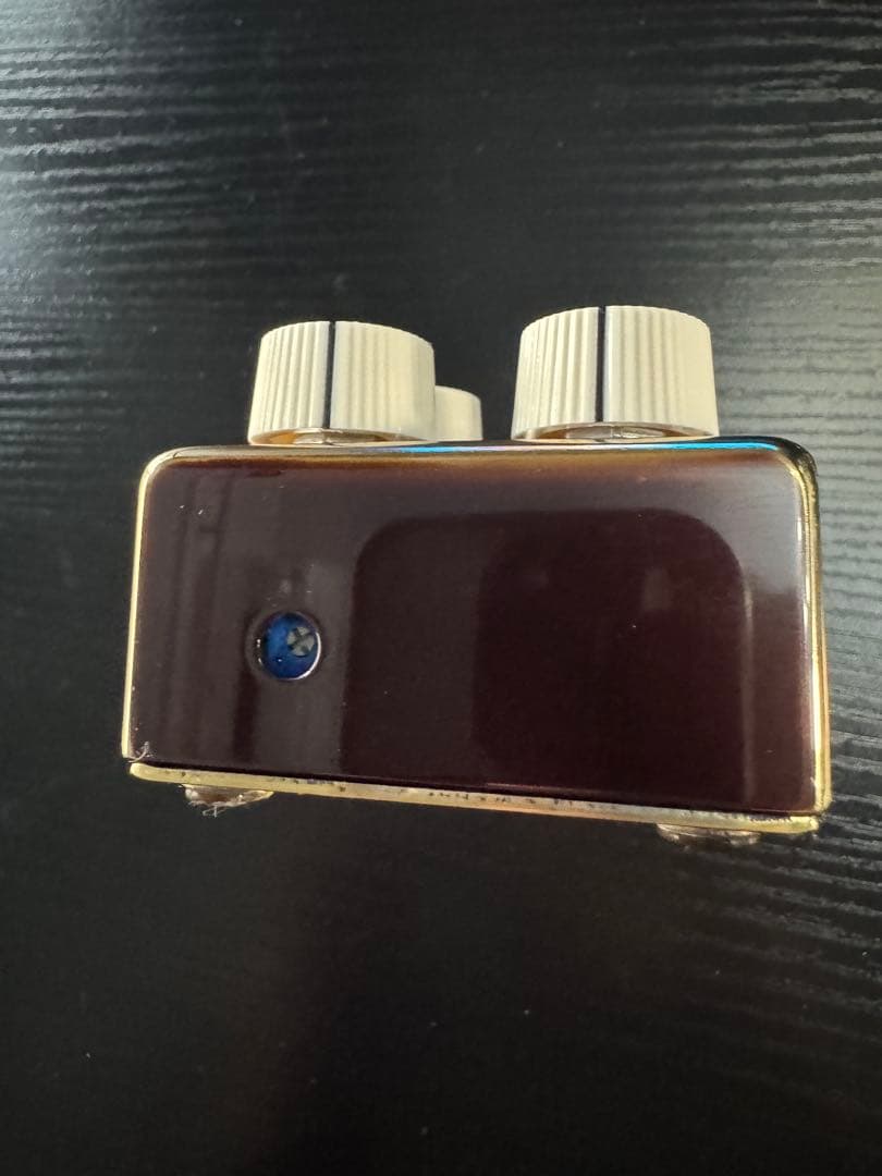 【早い者勝ち】Vemuram Jan Ray