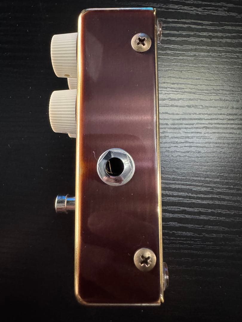 【早い者勝ち】Vemuram Jan Ray