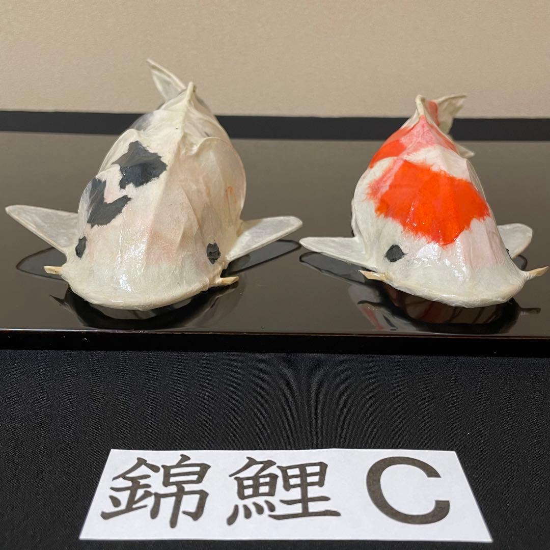 張子　錦鯉 C ツヤあり