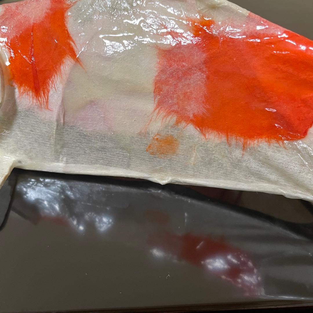 張子　錦鯉 C ツヤあり