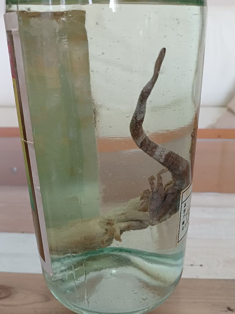 蛇鞭蛤蚧酒 & 蛤蚧酒 & 三蛇酒 中国酒 珍品 古酒 貴重