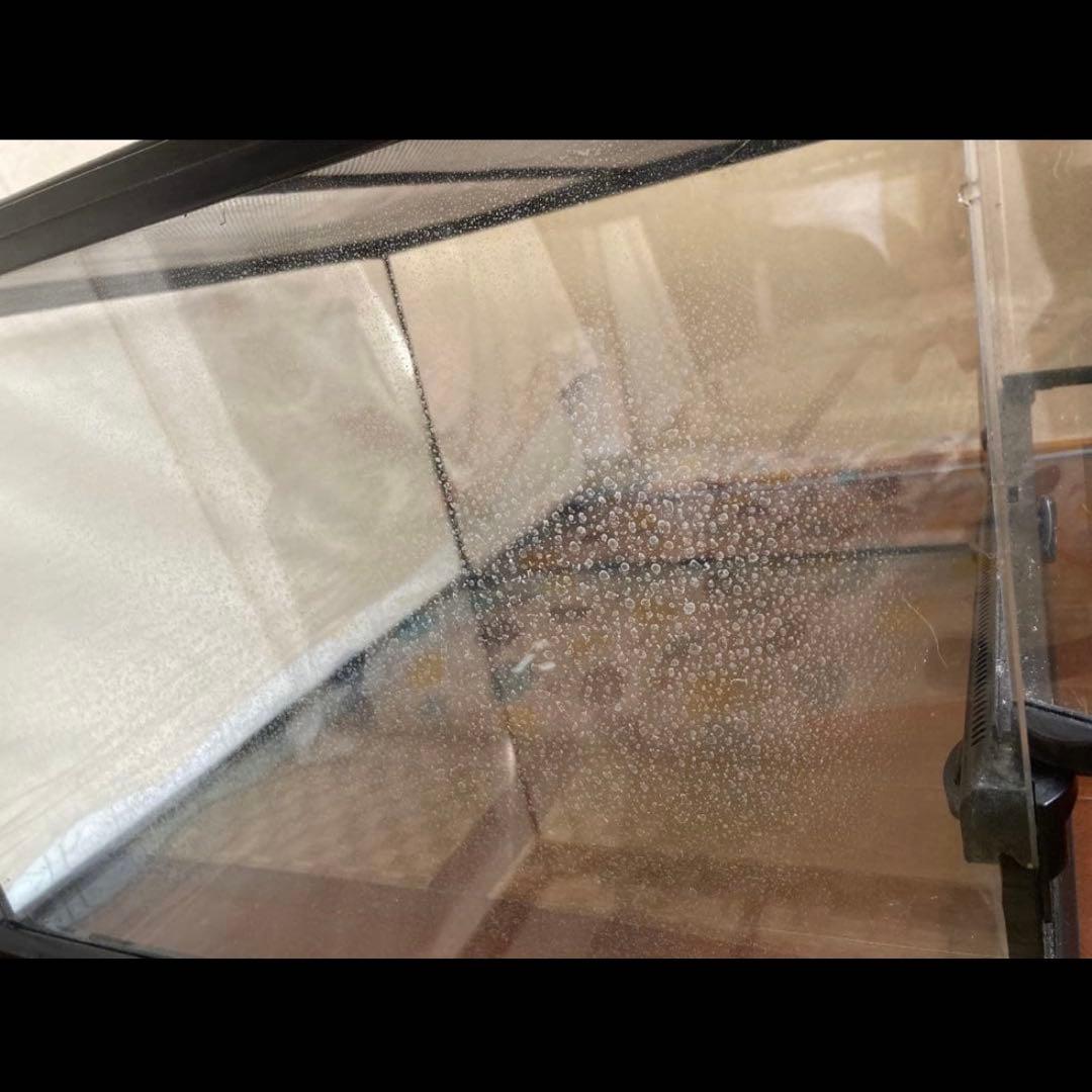 エキゾテラ　グラステラリウム　4530