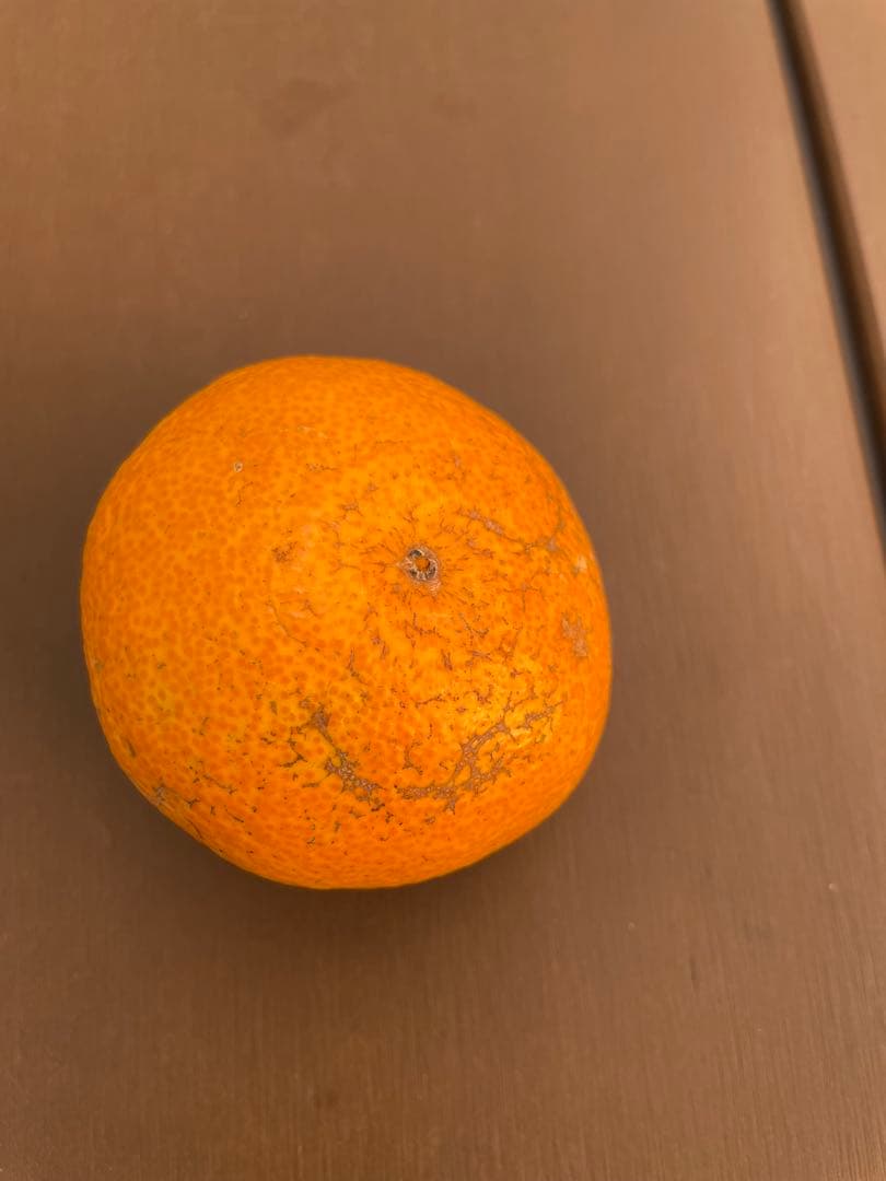 有田みかん　中生みかん　小玉　5キロ✖️4箱