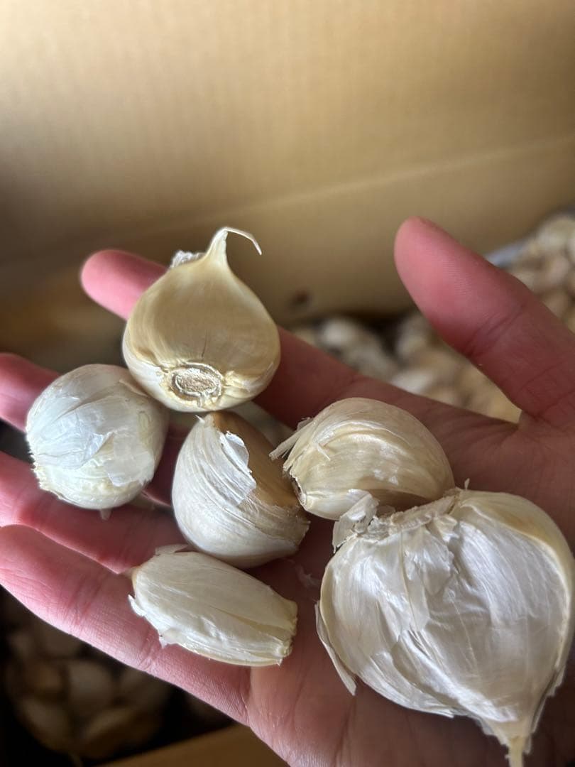 【お買い得セール】青森県 福地ホワイト にんにく L.2Lバラ 4kg ニンニク