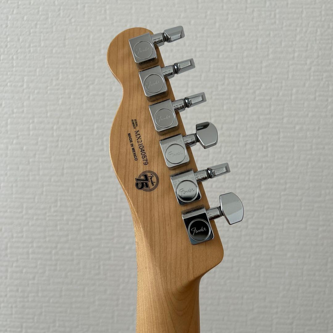 ギター Fender prayer Telecaster