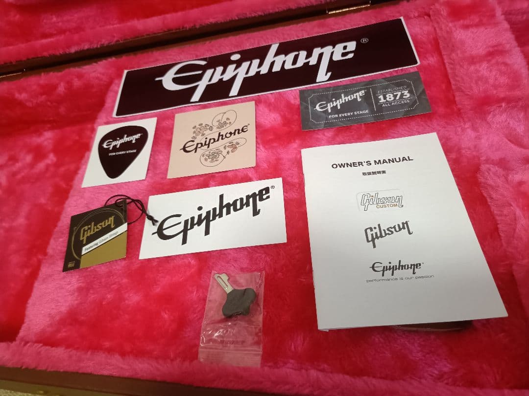 ⭐*️様 Epiphone by Gibson 1958 Korina Flyi