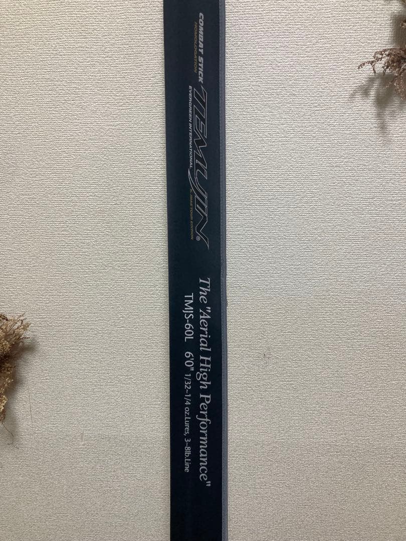 エバーグリーンTMJS-60L エアリアル ハイパフォーマンス