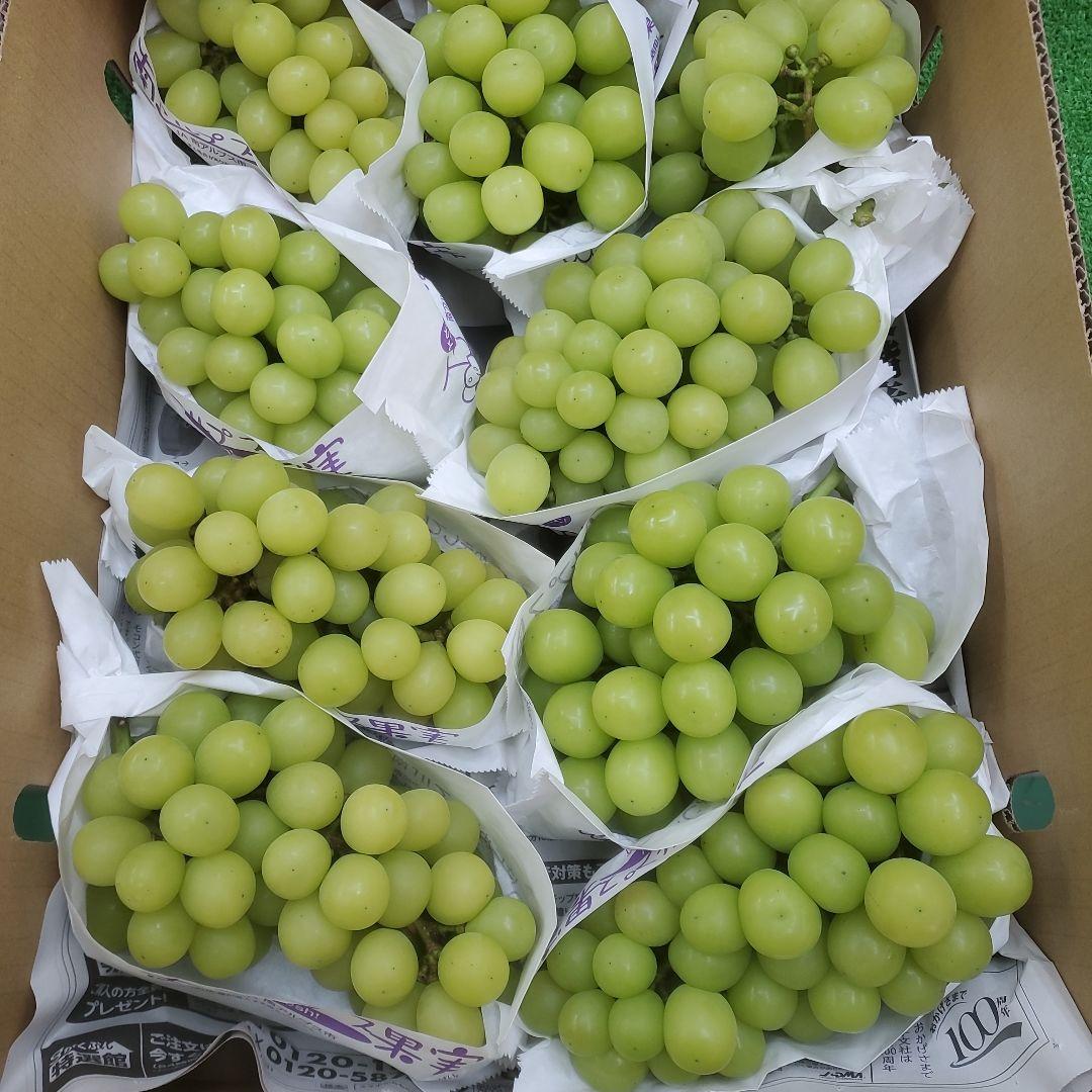 1⃣ 山梨県産 シャインマスカット １２房入り 箱込み5.3キロ