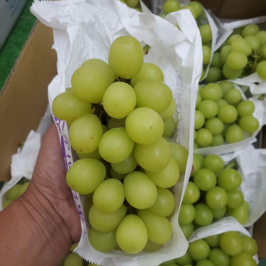 1⃣ 山梨県産 シャインマスカット １２房入り 箱込み5.3キロ