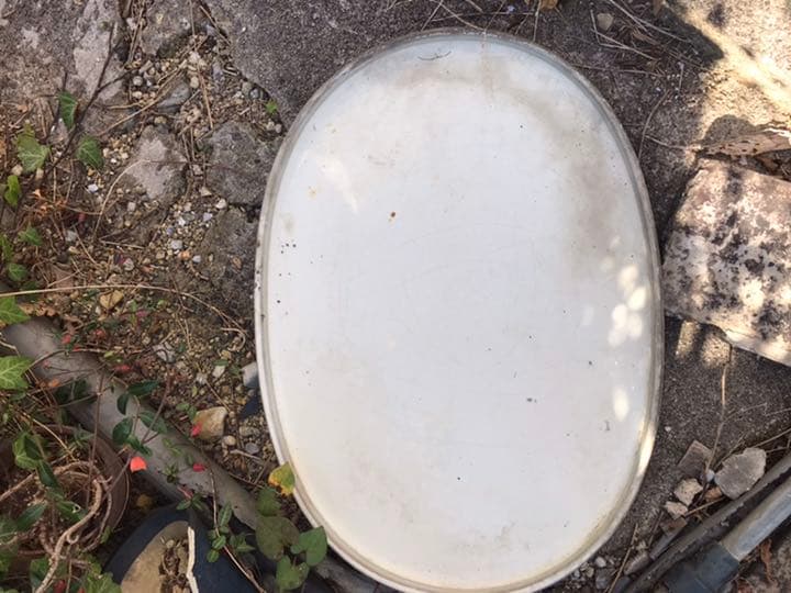 水盤　盆栽鉢時代落款白一菁陶園楕円水盤水石苔珠盆栽盆栽敷