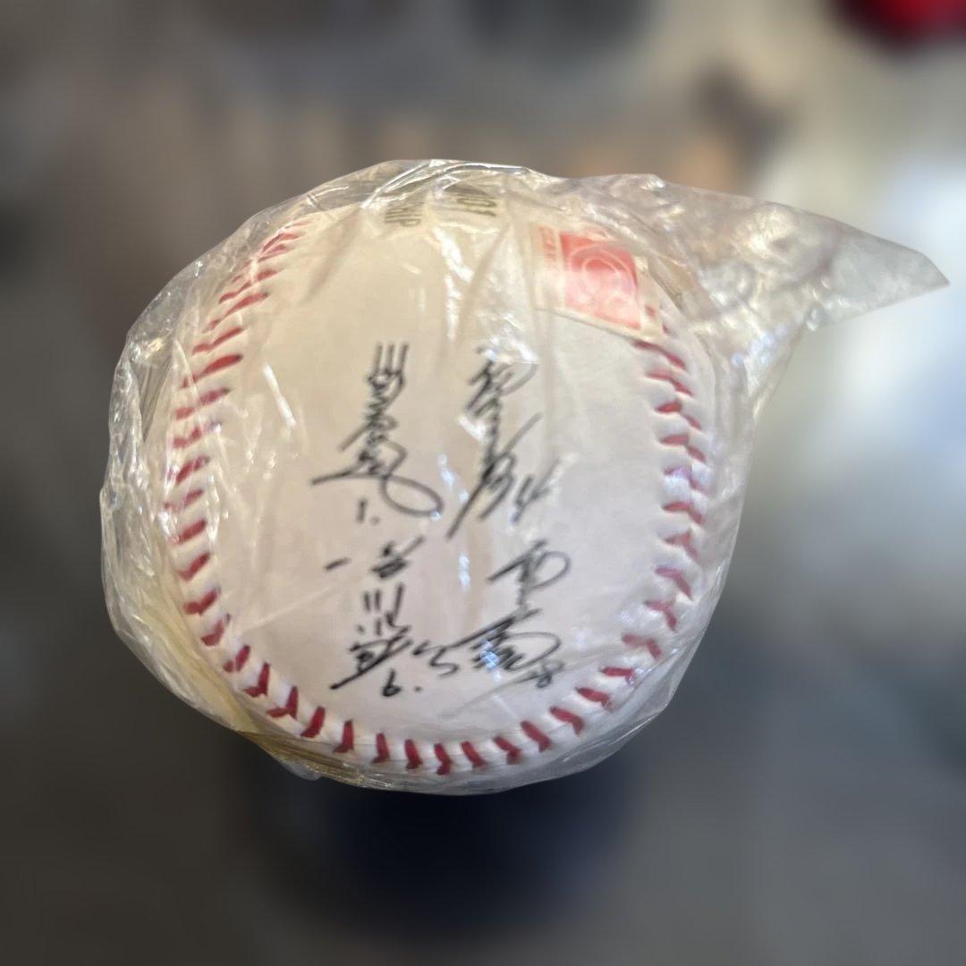 1991年 CARP セントラルリーグチャンピオンシップ 優勝記念ボール