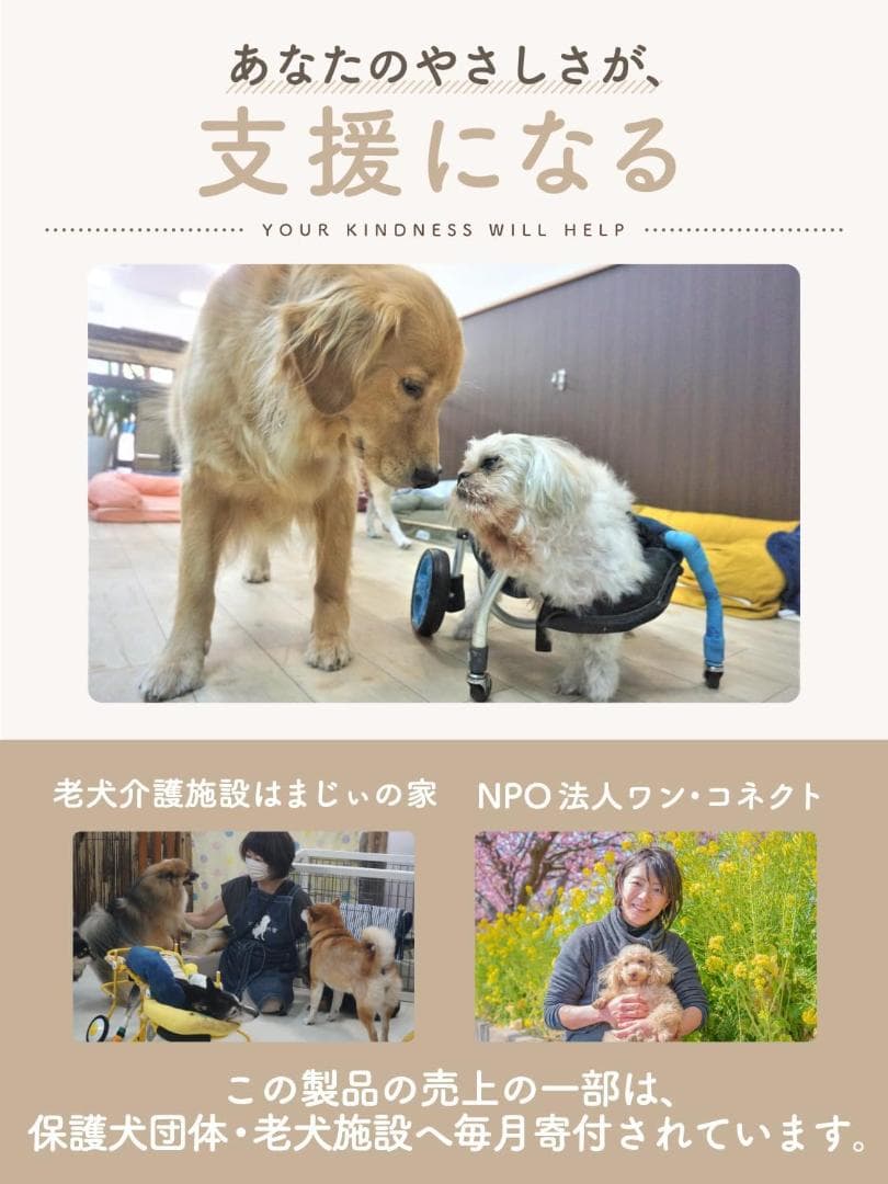 【獣医師監修／JPPMA認定品】ドライブボックス 大型犬用 高耐久構造 1219