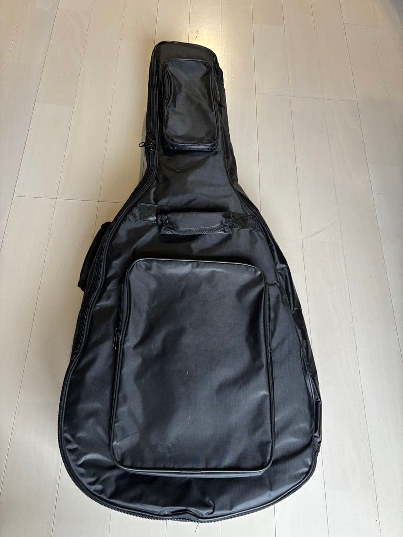 ギター Archtop Tribute AT205MD/LFD Sunburst