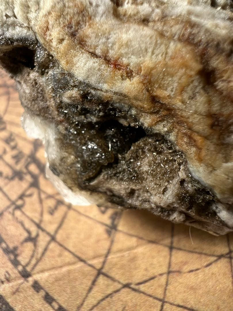 龍脈の精髄 ― 国産ブラックルチル⭐︎針水晶