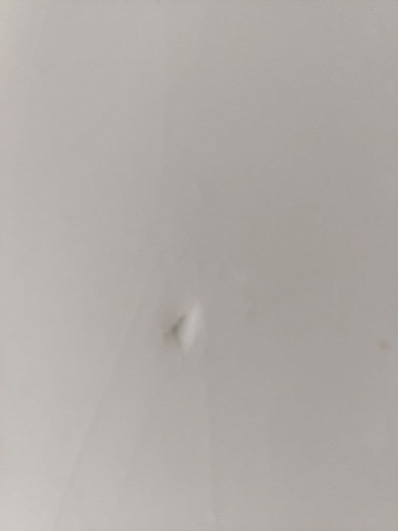 ショートボード