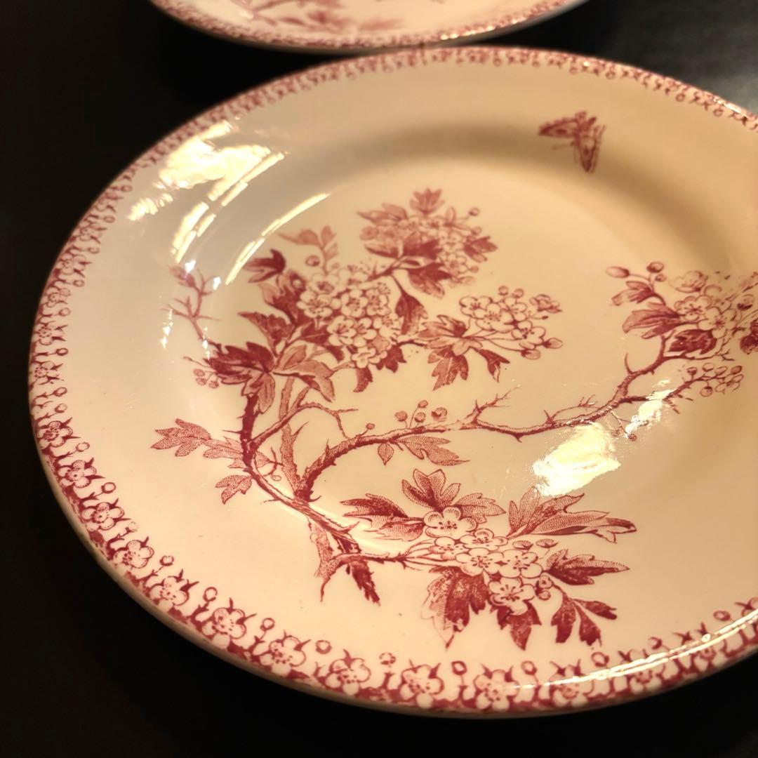 フランスアンティークプレート　赤色　花と蝶 2枚セット