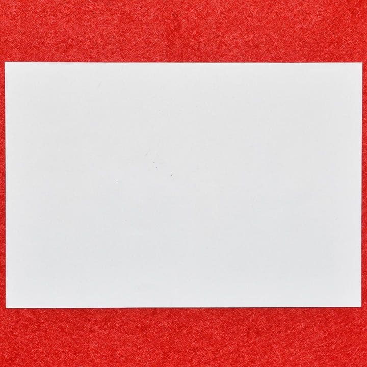 『THE CROSSING』小道具 リースの旅券用写真