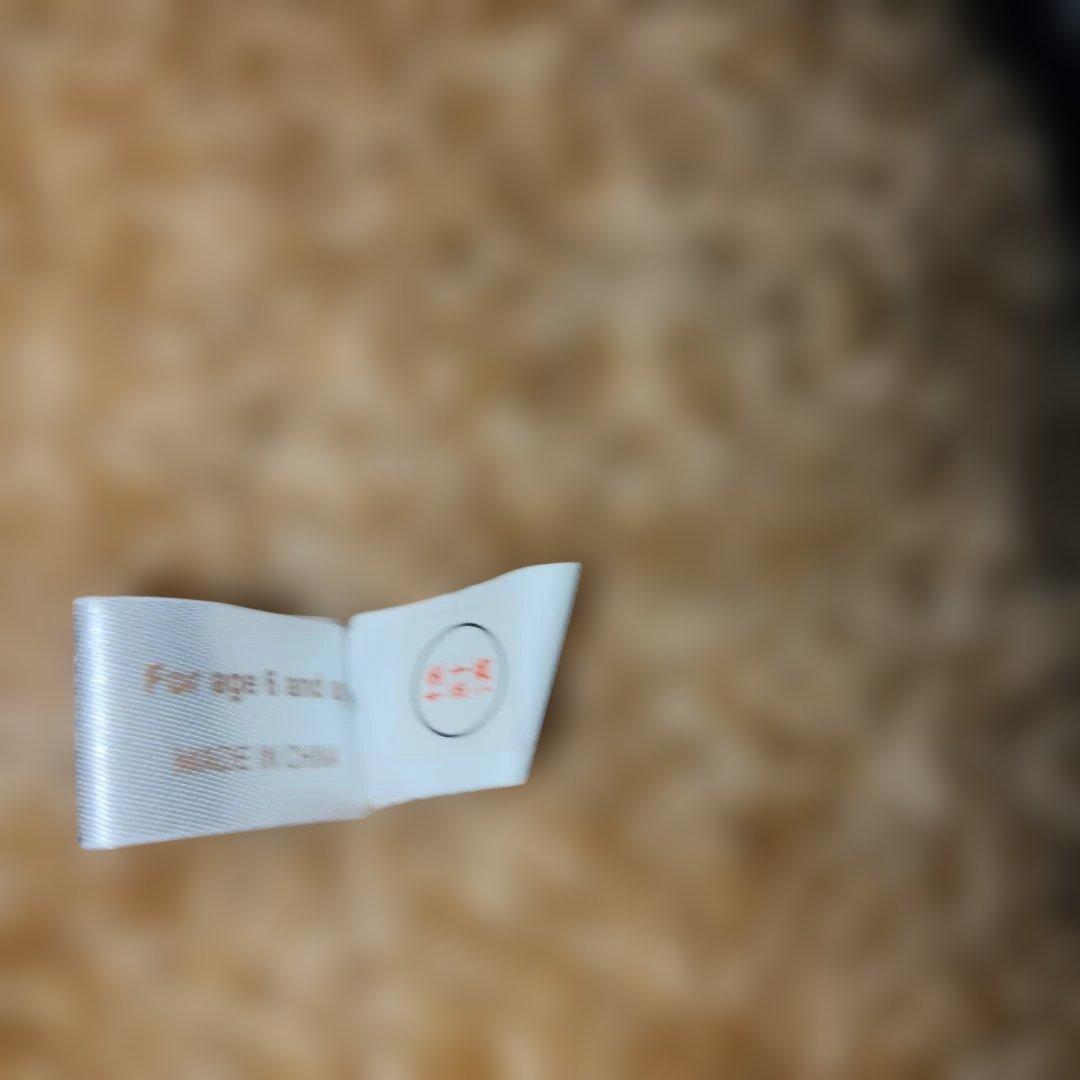 安立屋限定 特等 スタンダードプードル トイプードル 浅草 いぬくじ