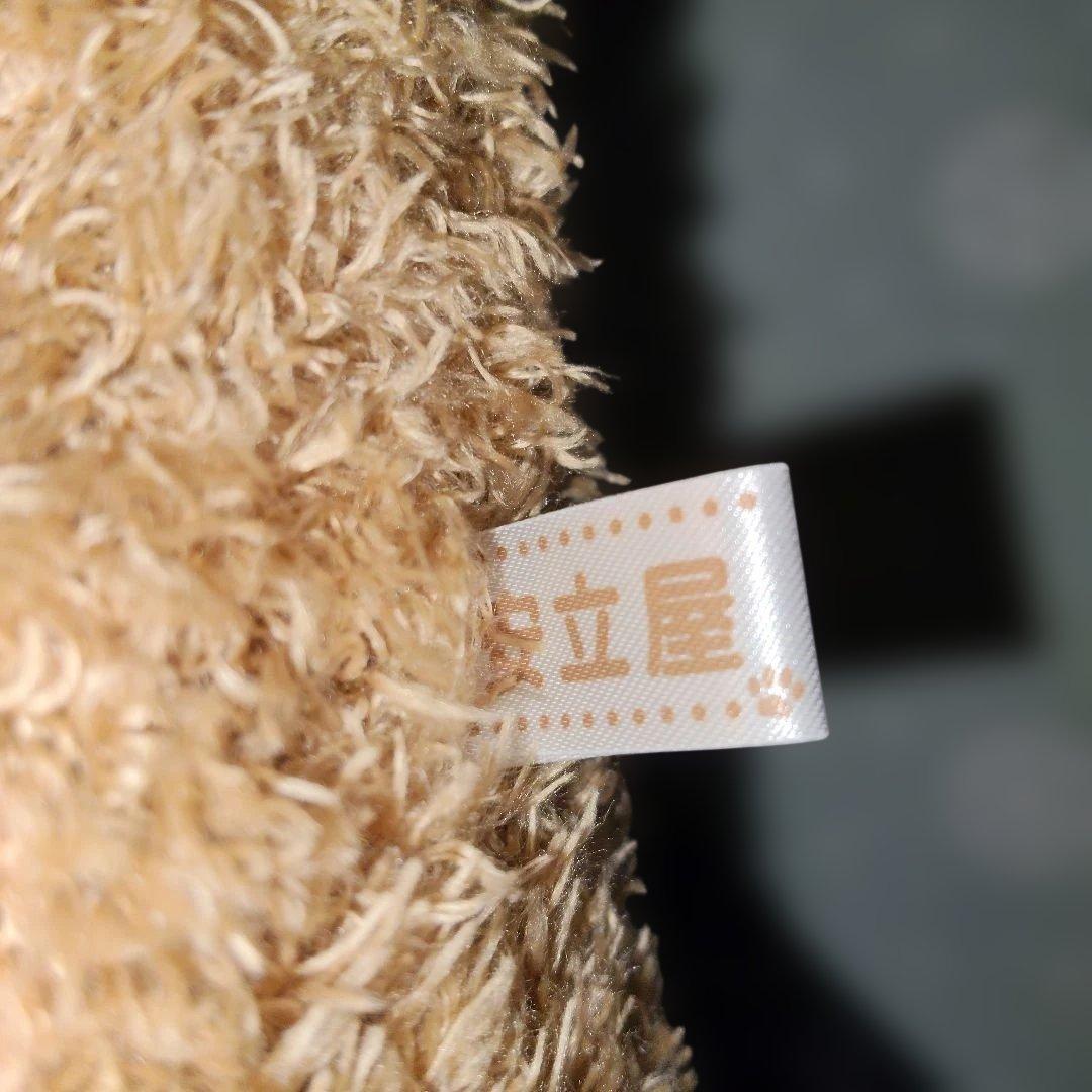 安立屋限定 特等 スタンダードプードル トイプードル 浅草 いぬくじ