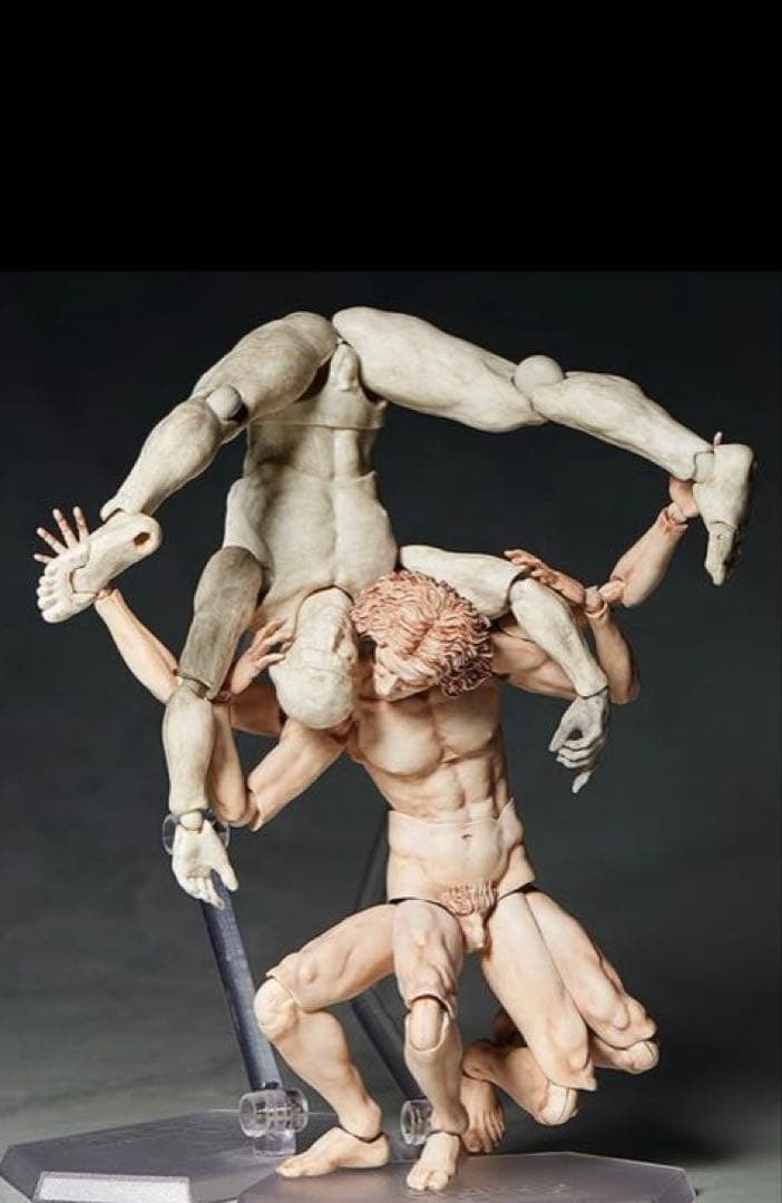 figma テーブル美術館 ダ・ヴィンチ 人体模型 スタンド付き 約30cm