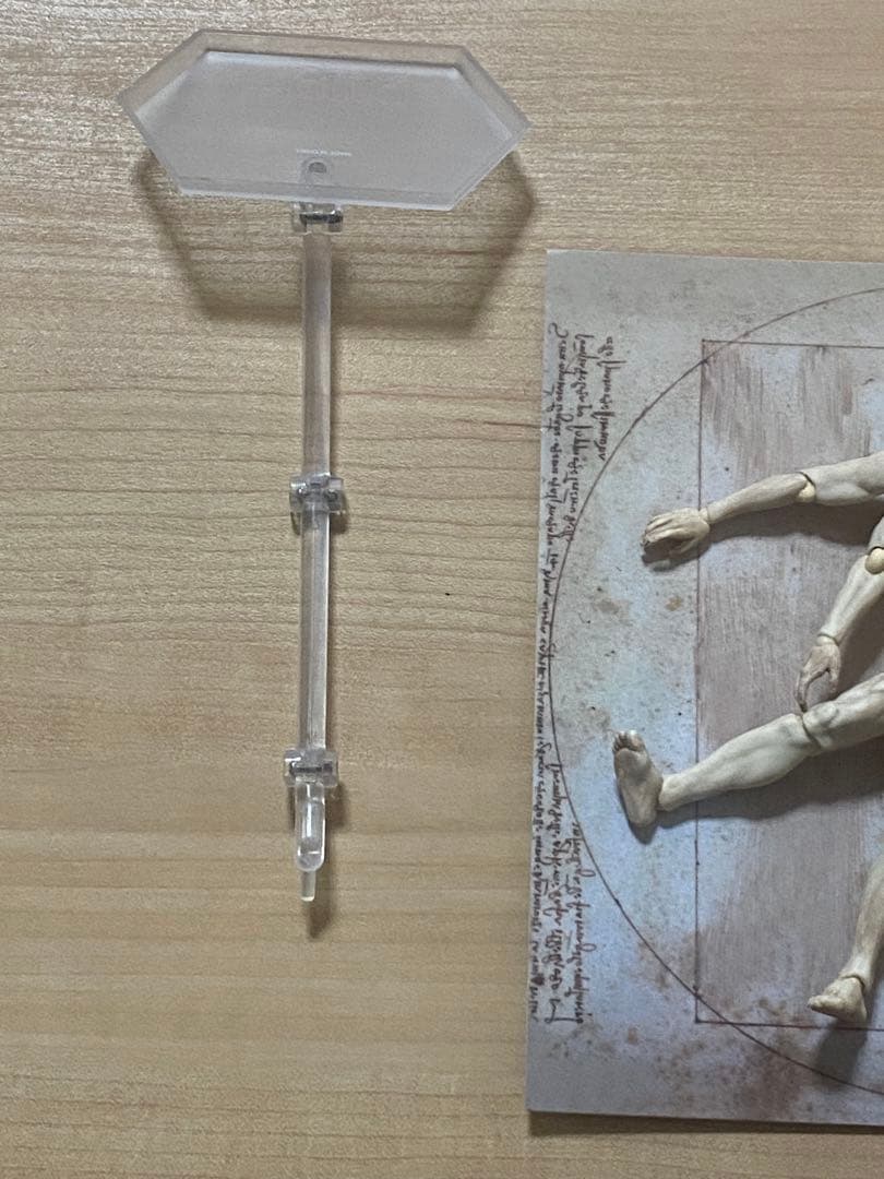 figma テーブル美術館 ダ・ヴィンチ 人体模型 スタンド付き 約30cm