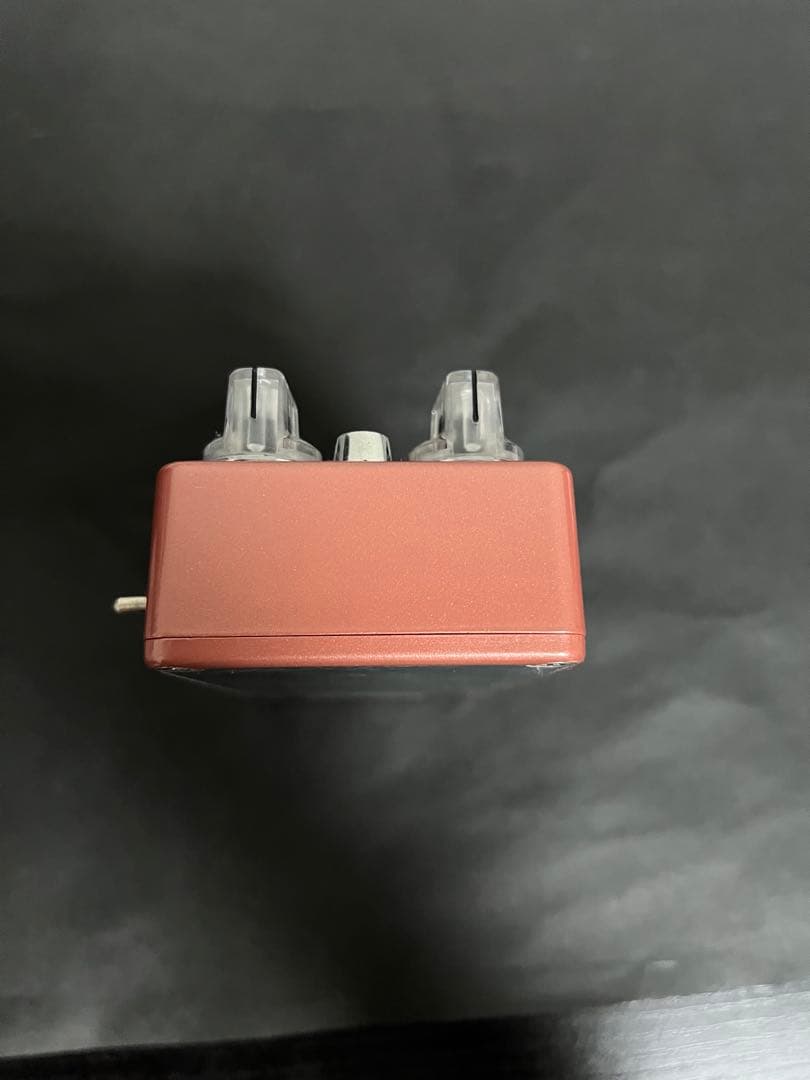 ギター Vivie MadMurcian