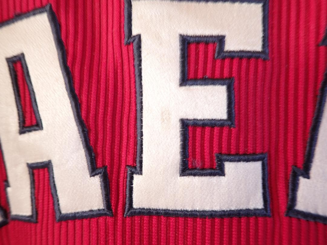 前田智徳(元広島カープ) 引退記念 Ｌサイズ(リビングで飾っていました)