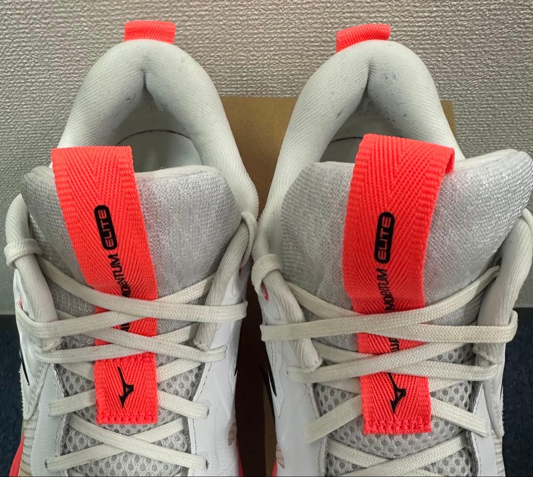 ミズノ（MIZUNO）バレーボールシューズ ウエーブモーメンタム エリート