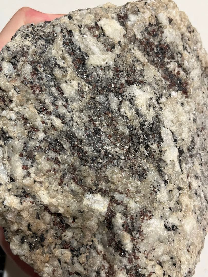 D 南極 南極の石 しらせ  昭和基地 南極観測船　ふじ