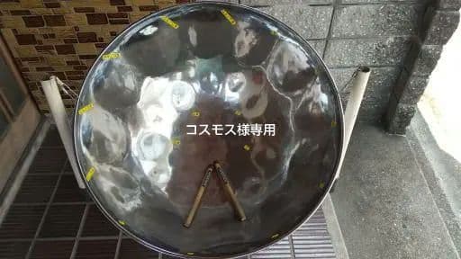 【コスモス】スチールパン