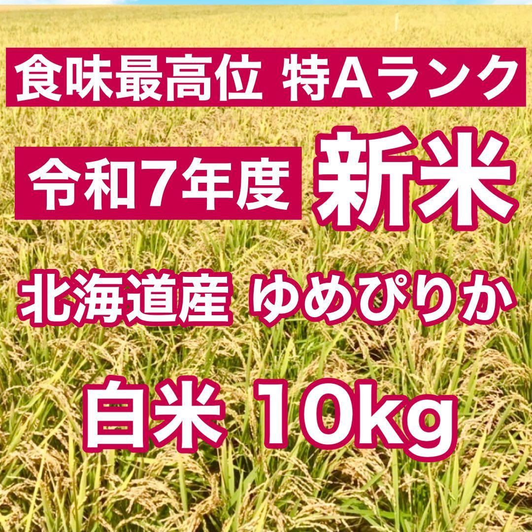 令和7年産 北海道米 ゆめぴりか 白米 10kg 送料無料 ブランド米