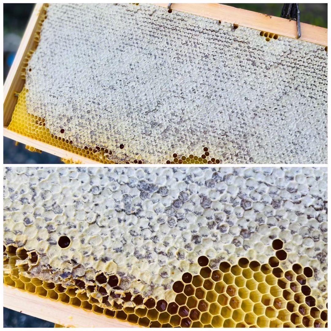 喜界島 百花蜜 3kg 蜂蜜 国産