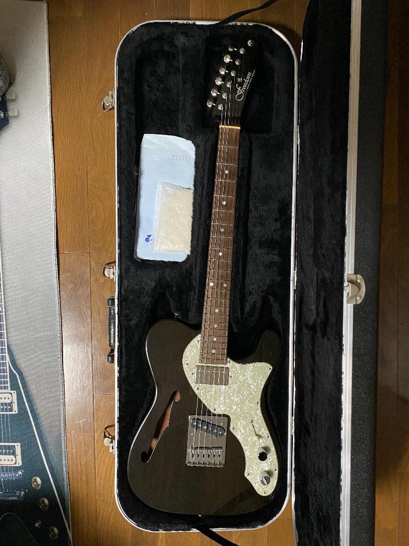 FREEDOM CUSTOM GUITAR BLACK PEPPER ケース付