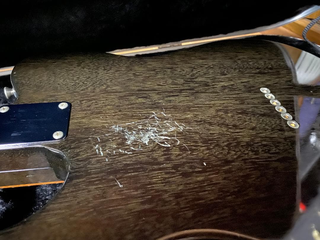 FREEDOM CUSTOM GUITAR BLACK PEPPER ケース付