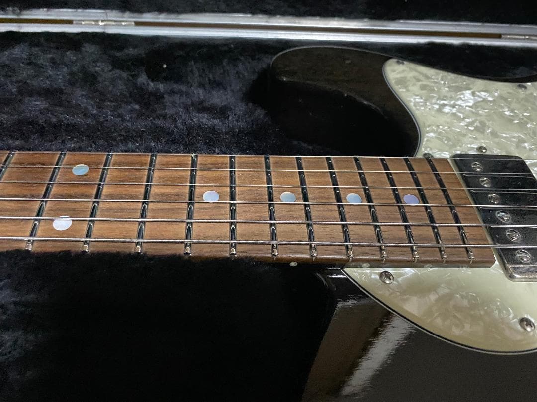 FREEDOM CUSTOM GUITAR BLACK PEPPER ケース付