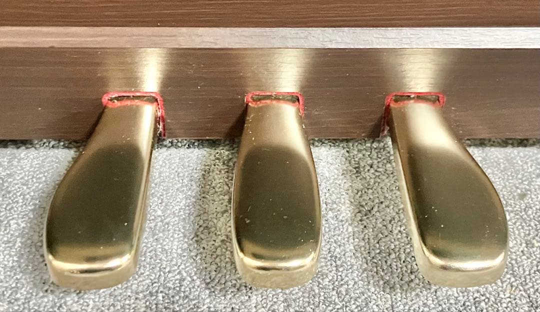 【美品】CASIO 電子ピアノ AP-460BN【無料配送可能】