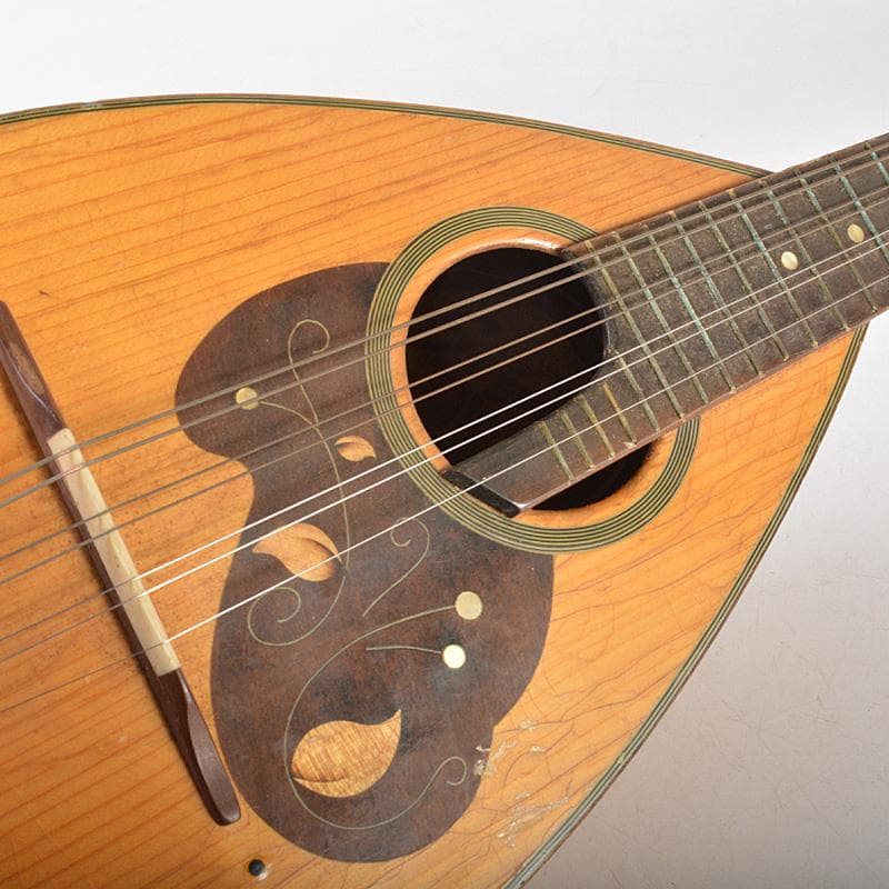 SUZUKI　マンドリン　楽器　弦楽器　N　R6138C