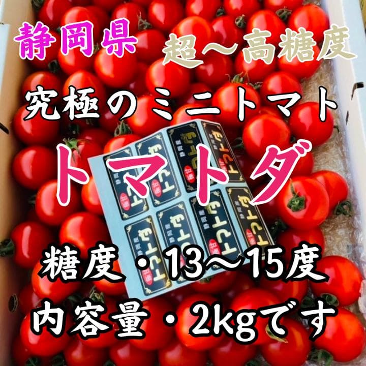 超高糖度　13〜15度　究極・トマトダ　2kg