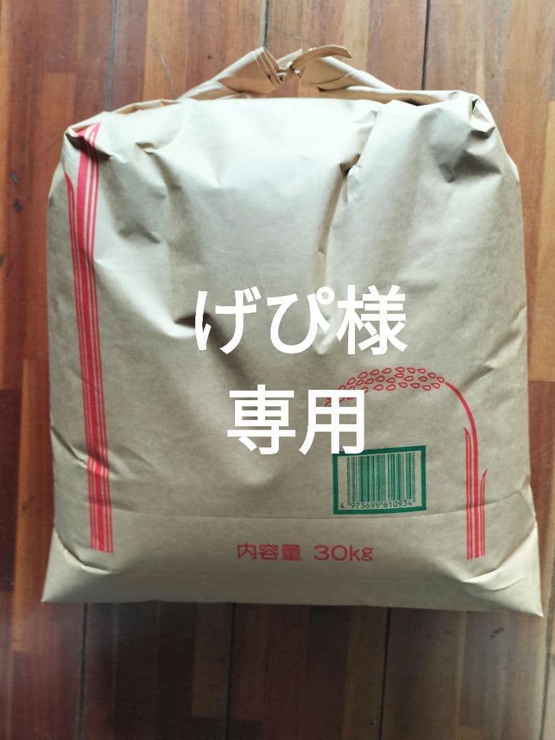 げぴ 令和7年産 キヌヒカリ 玄米20kg