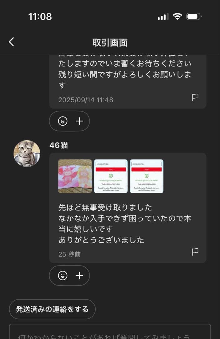 【正規品・未開封】ラブブ Labubu Big into Energy 2箱