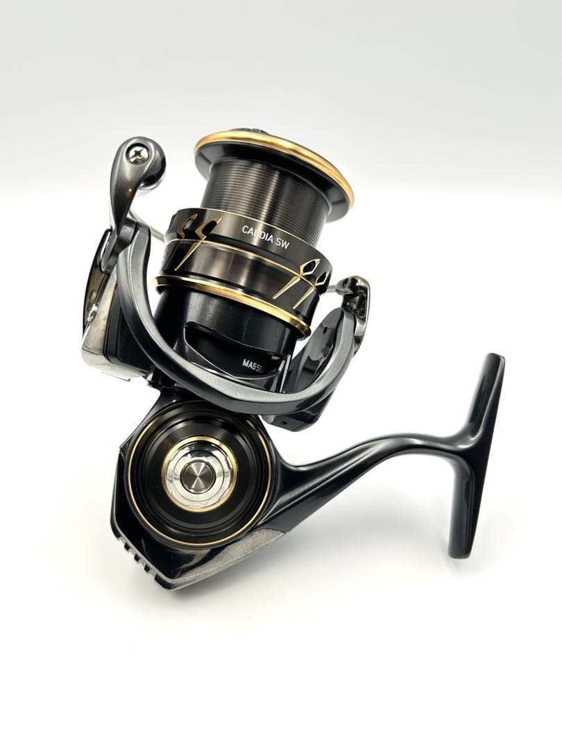 DAIWA ダイワ 22 CALDIA カルディア SW 4000-CXH