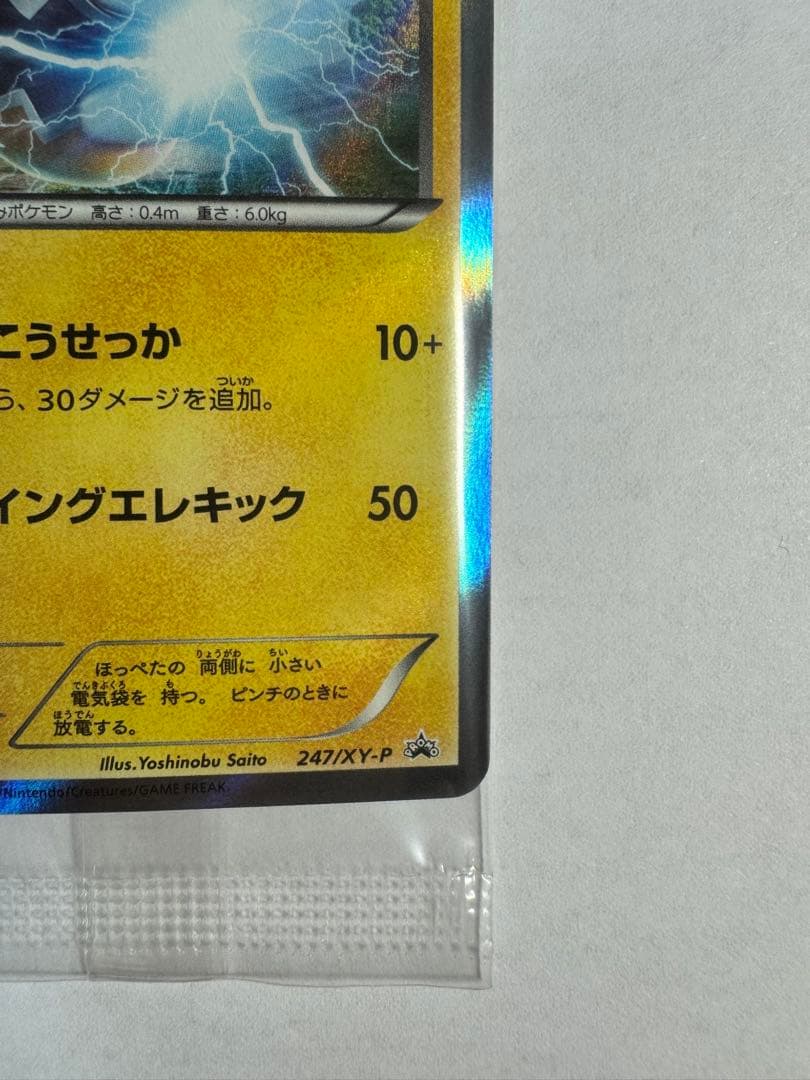 マスクドピカチュウ　ポケモンカード