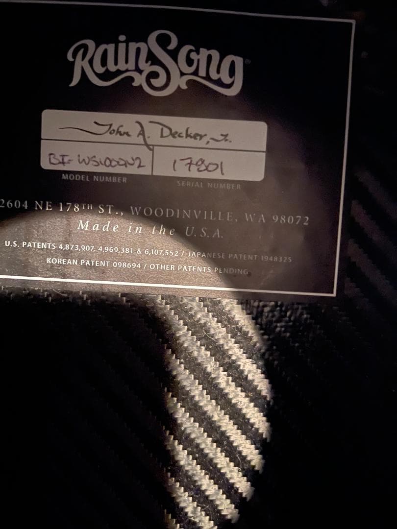 Rainsong BI WS1000N2 Black Ice ハードケース付き