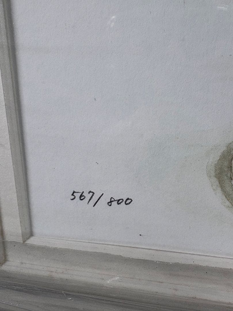 D008 橋本不二子 版画「my garden roses